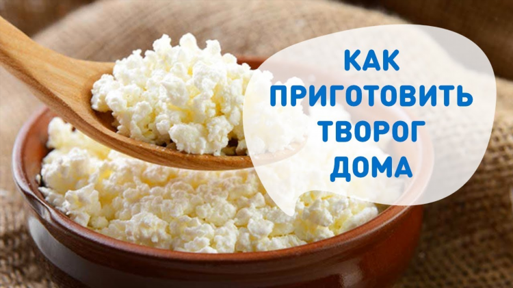 Сыр сварить в домашних условиях из молока и творога